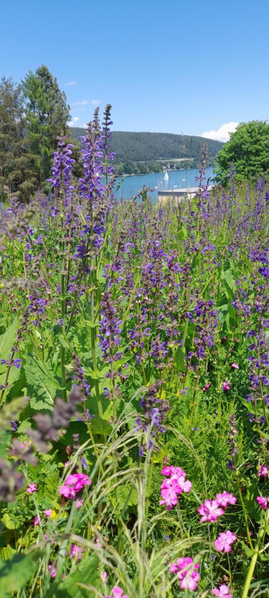Glanz Und Gloria Velden! Woerthersee In 5 Min Zu Fuss Erreichbar! Velden am Woerthersee Luaran gambar